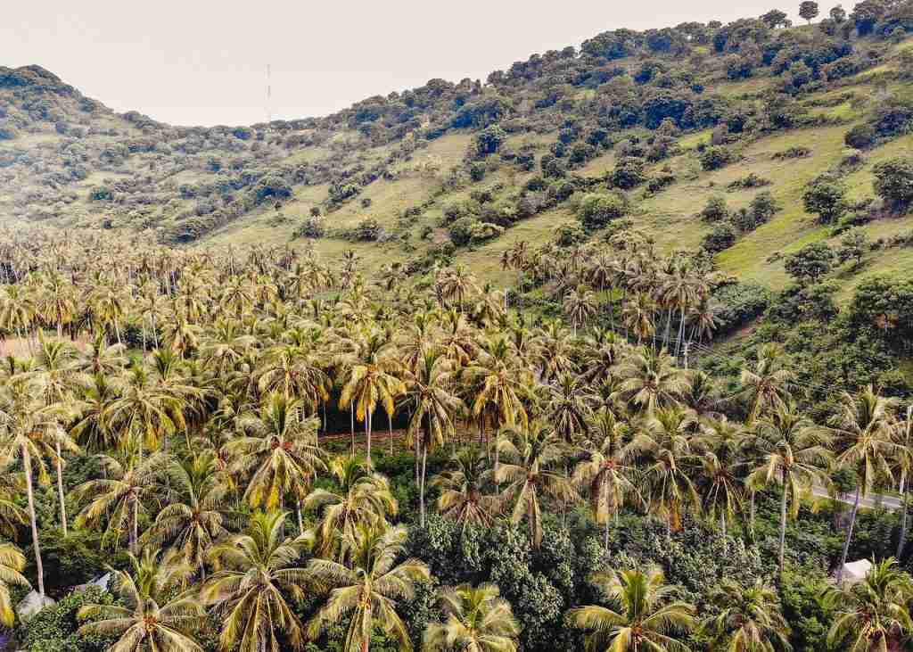 indonesia, lombok, bali-4768870.jpg